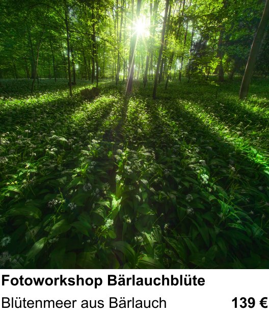 Perspektivischer Foto-Workshop über Fotoworkshop Bärlauchblüte: Blütenmeer aus Bärlauch