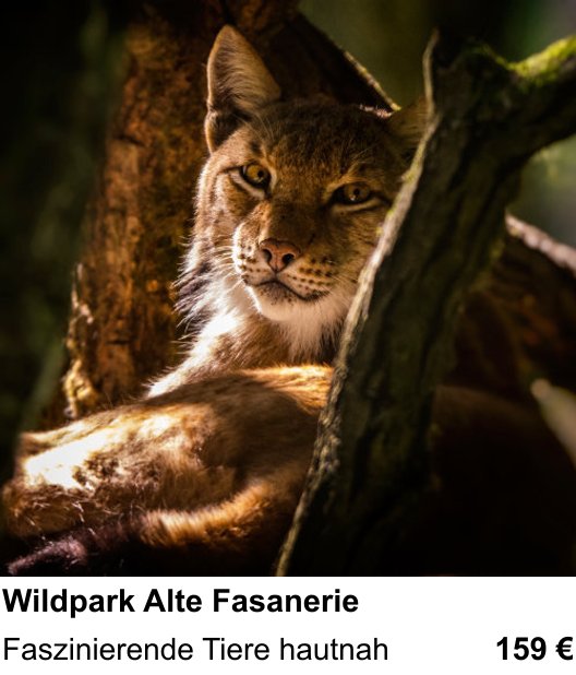 Perspektivischer Foto-Workshop über Wildpark Alte Fasanerie: Faszinierende Tiere hautnah