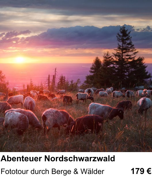 Perspektivischer Foto-Workshop über Abenteuer Nordschwarzwald: Fototour durch Berge & Wälder