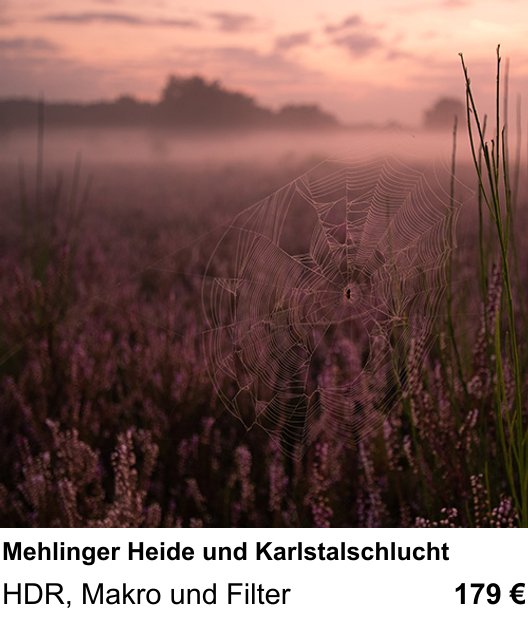 Perspektivischer Foto-Workshop über Mehlinger Heide und Karlstalschlucht: HDR, Makro und Filter