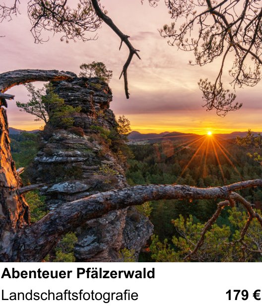 Perspektivischer Foto-Workshop über Abenteuer Pfälzerwald: Landschaftsfotografie