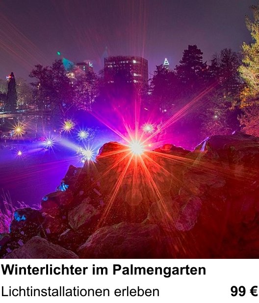 Perspektivischer Foto-Workshop über Winterlichter im Palmengarten: Lichtinstallationen erleben