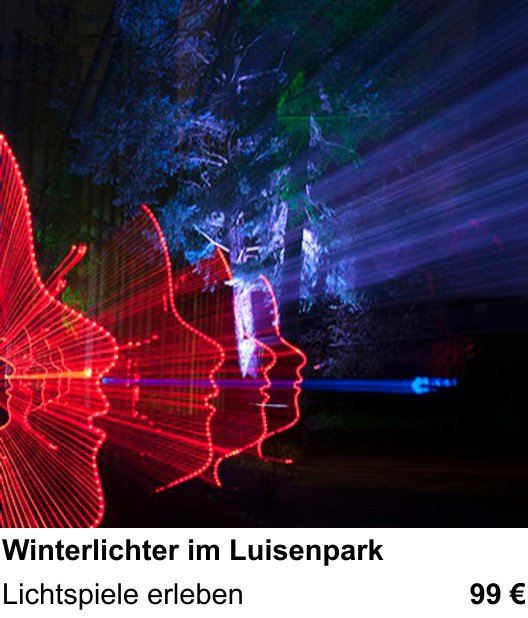 Perspektivischer Foto-Workshop über Winterlichter im Luisenpark: Lichtspiele erleben