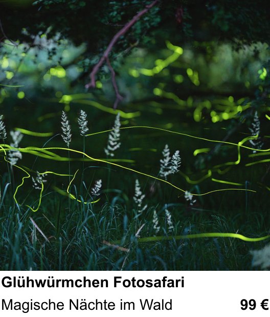 Perspektivischer Foto-Workshop über Glühwürmchen Fotosafari: Magische Nächte im Wald