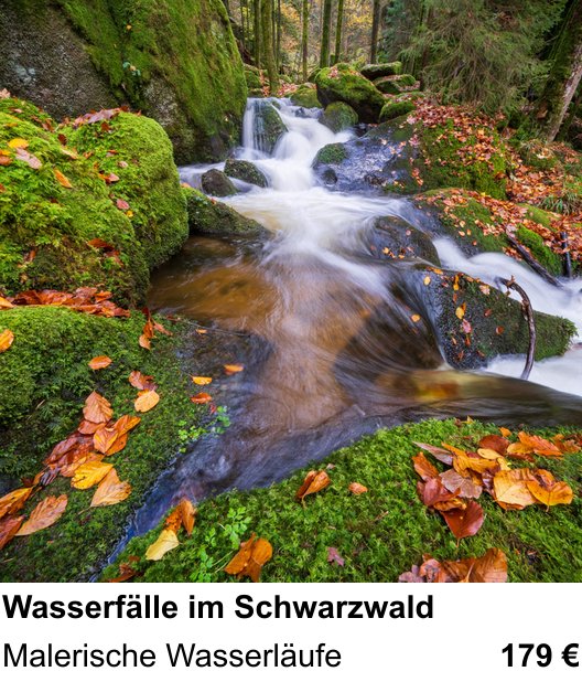 Perspektivischer Foto-Workshop über Wasserfälle im Schwarzwald: Malerische Wasserläufe