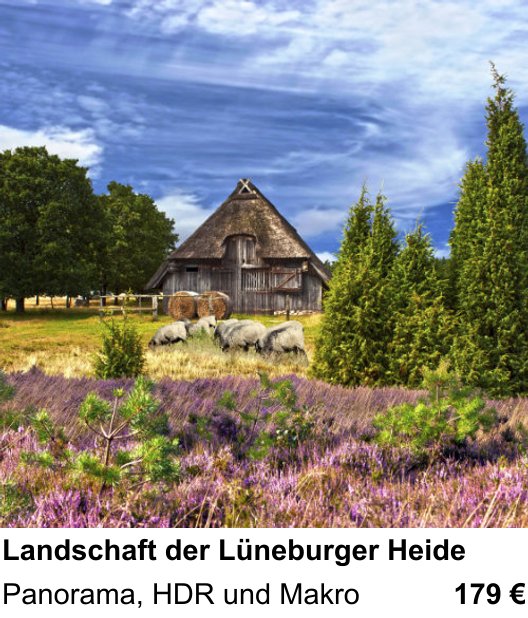 Perspektivischer Foto-Workshop über Landschaft der Lüneburger Heide: Panorama, HDR und Makro
