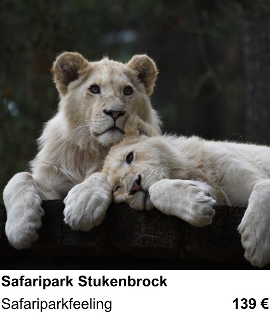 Perspektivischer Foto-Workshop über Safaripark Stukenbrock: Safariparkfeeling